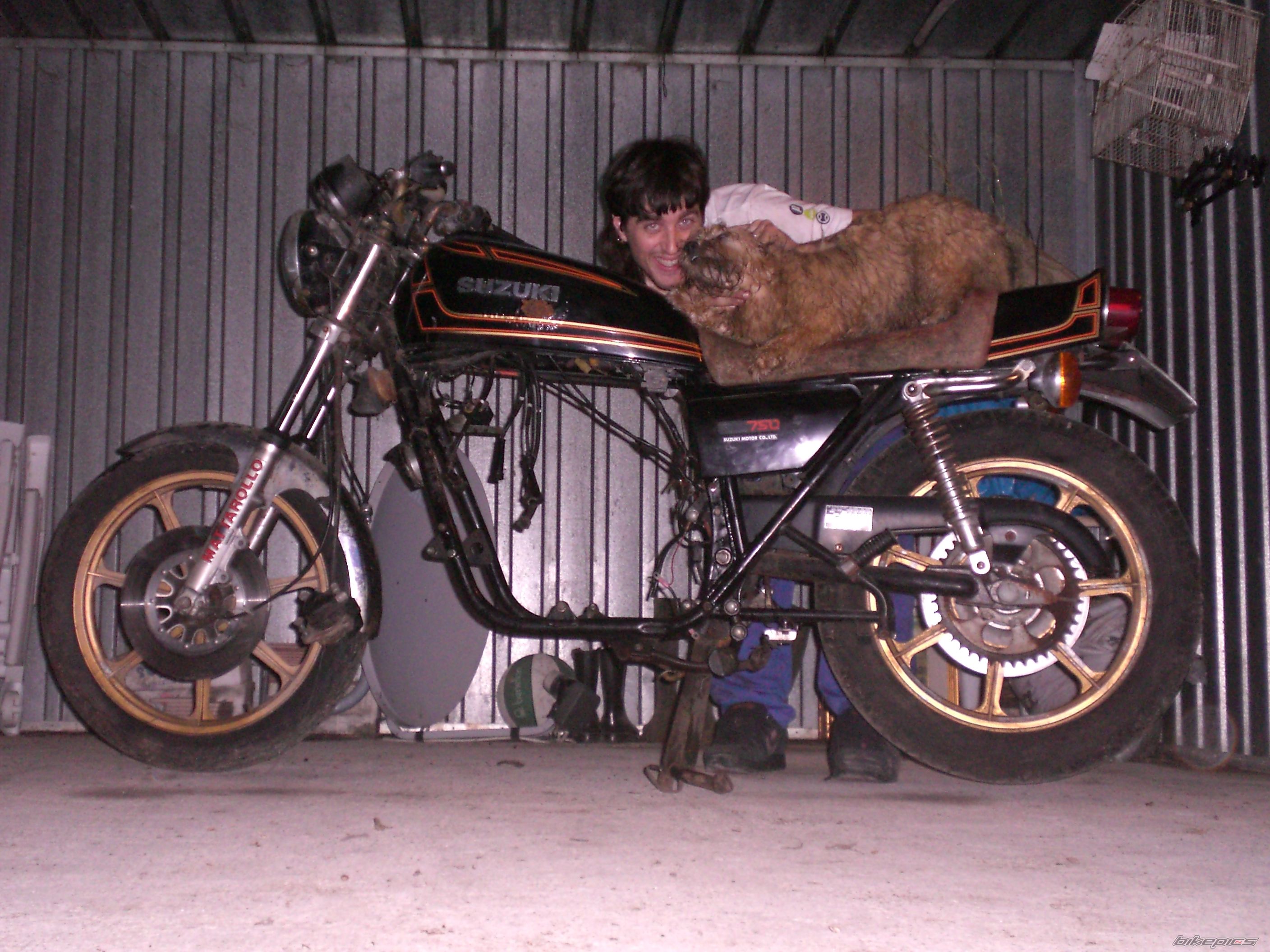 Bike Photo 1297359