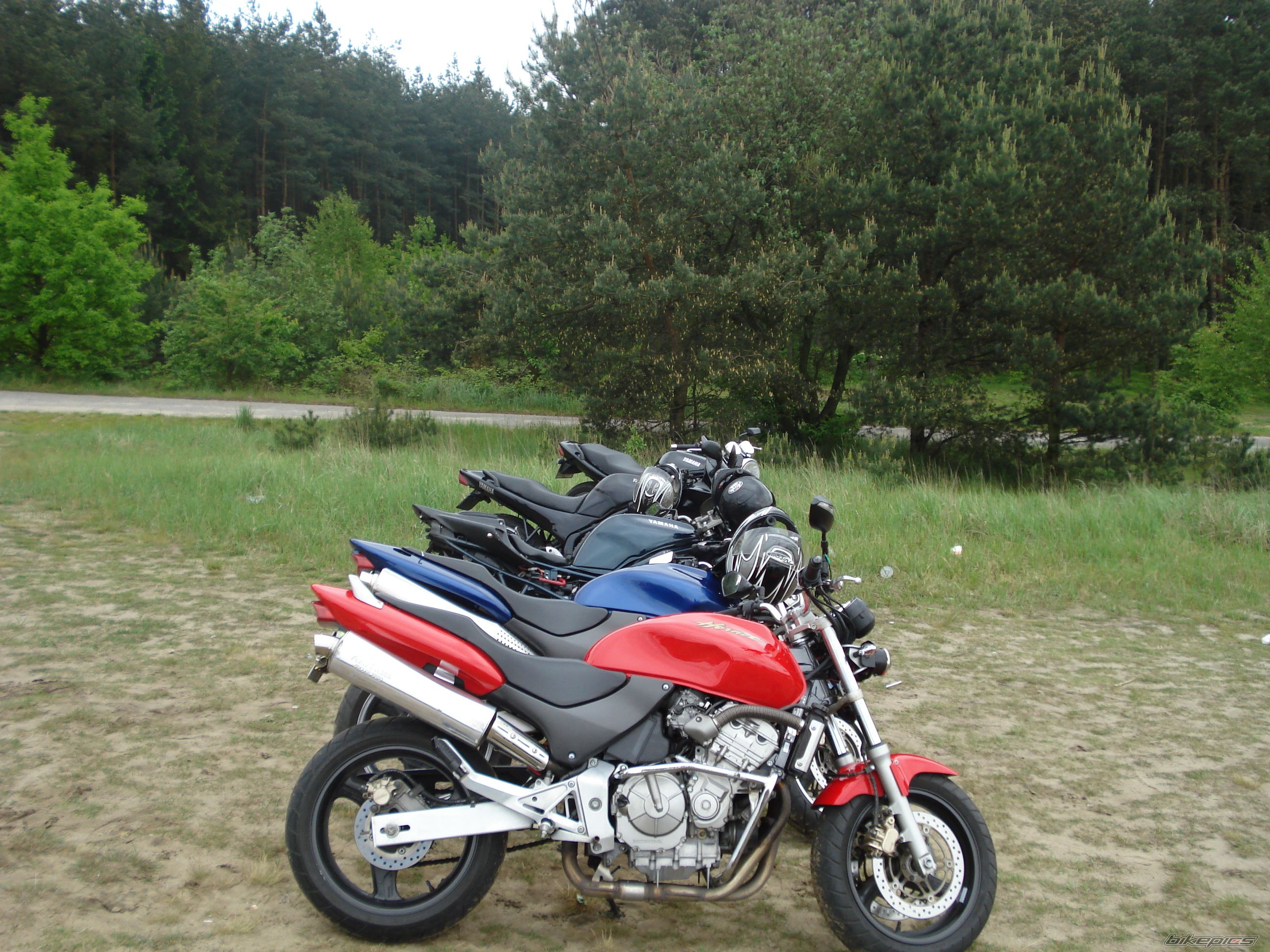 Photo 1297362