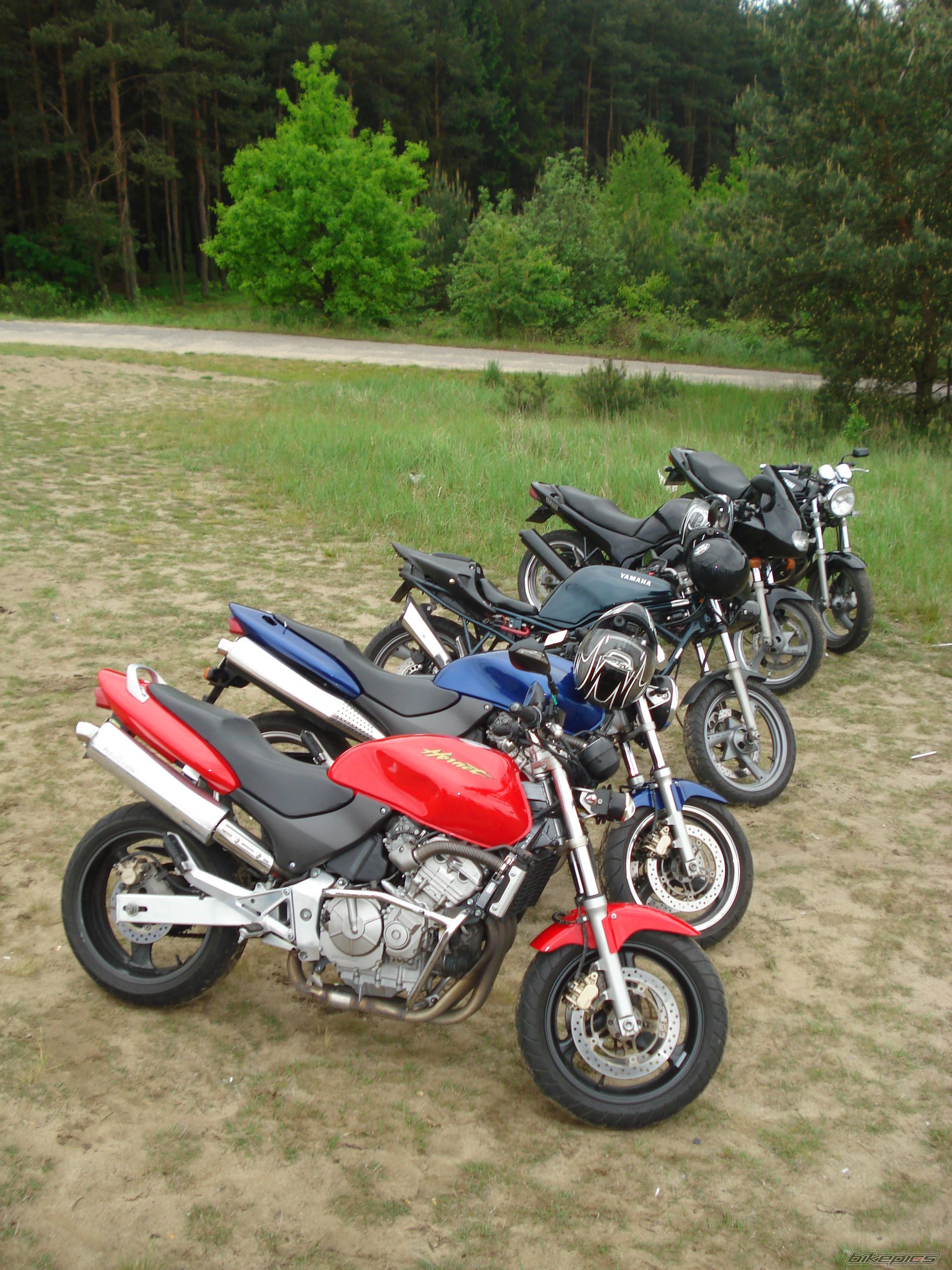 Photo 1297373