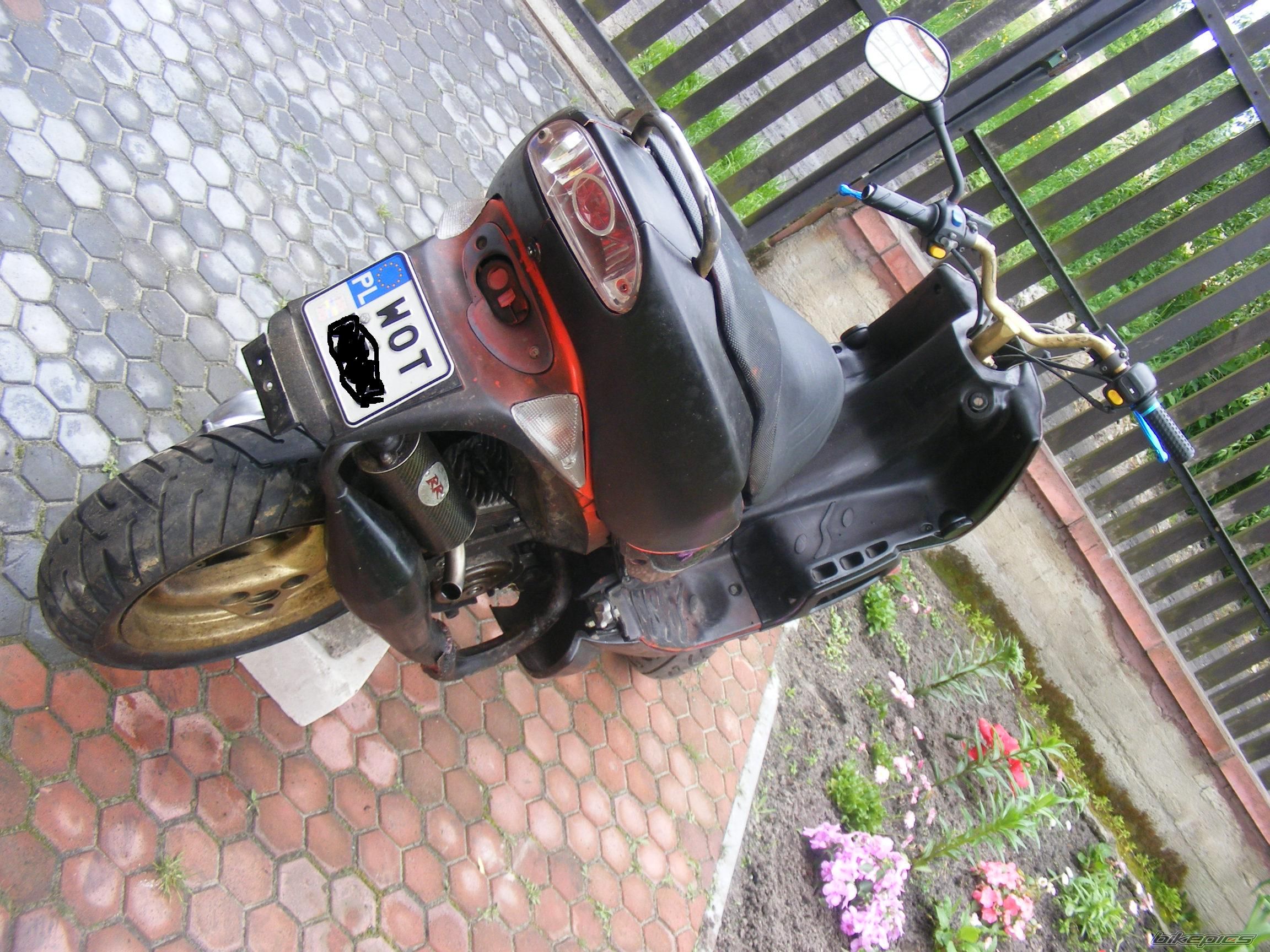 Photo 1297379
