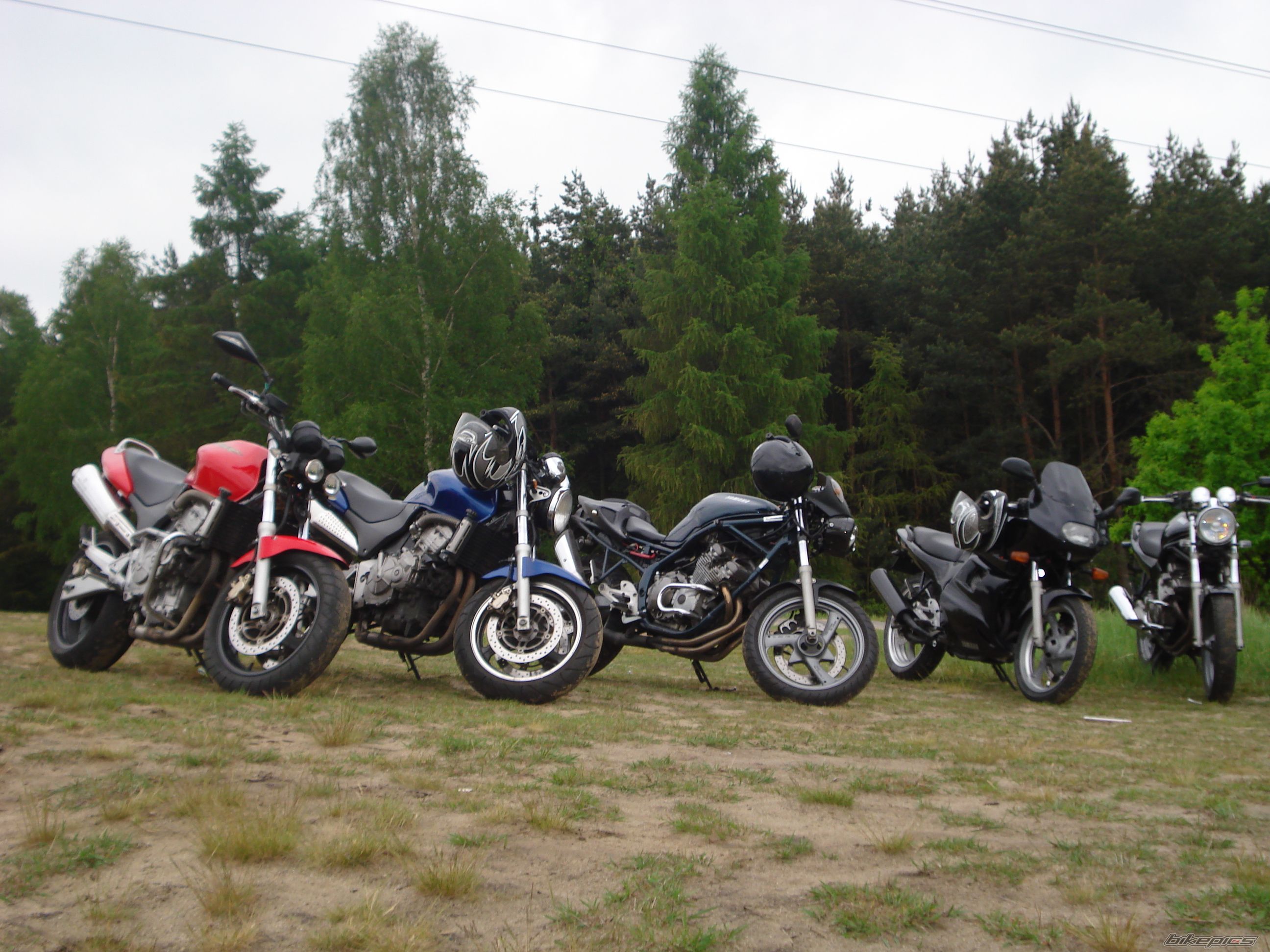 Photo 1297383