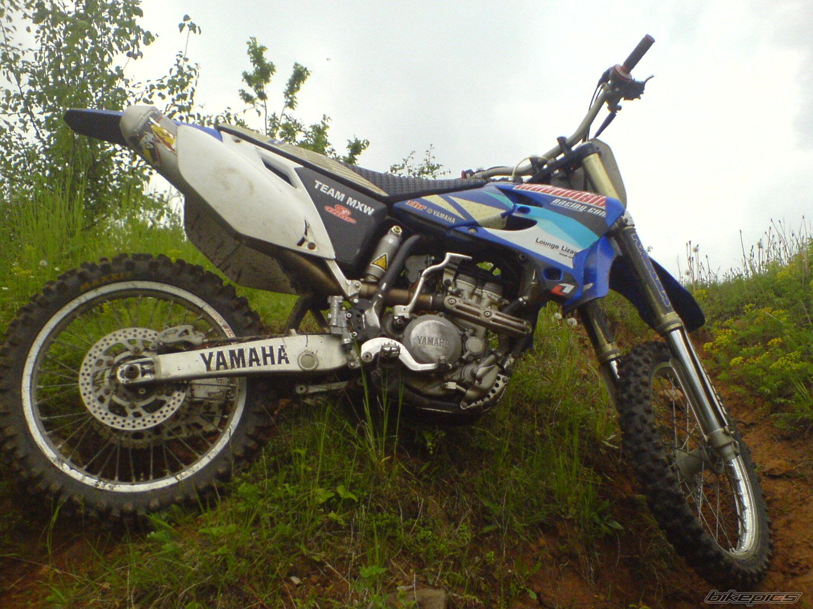 Photo 1297388