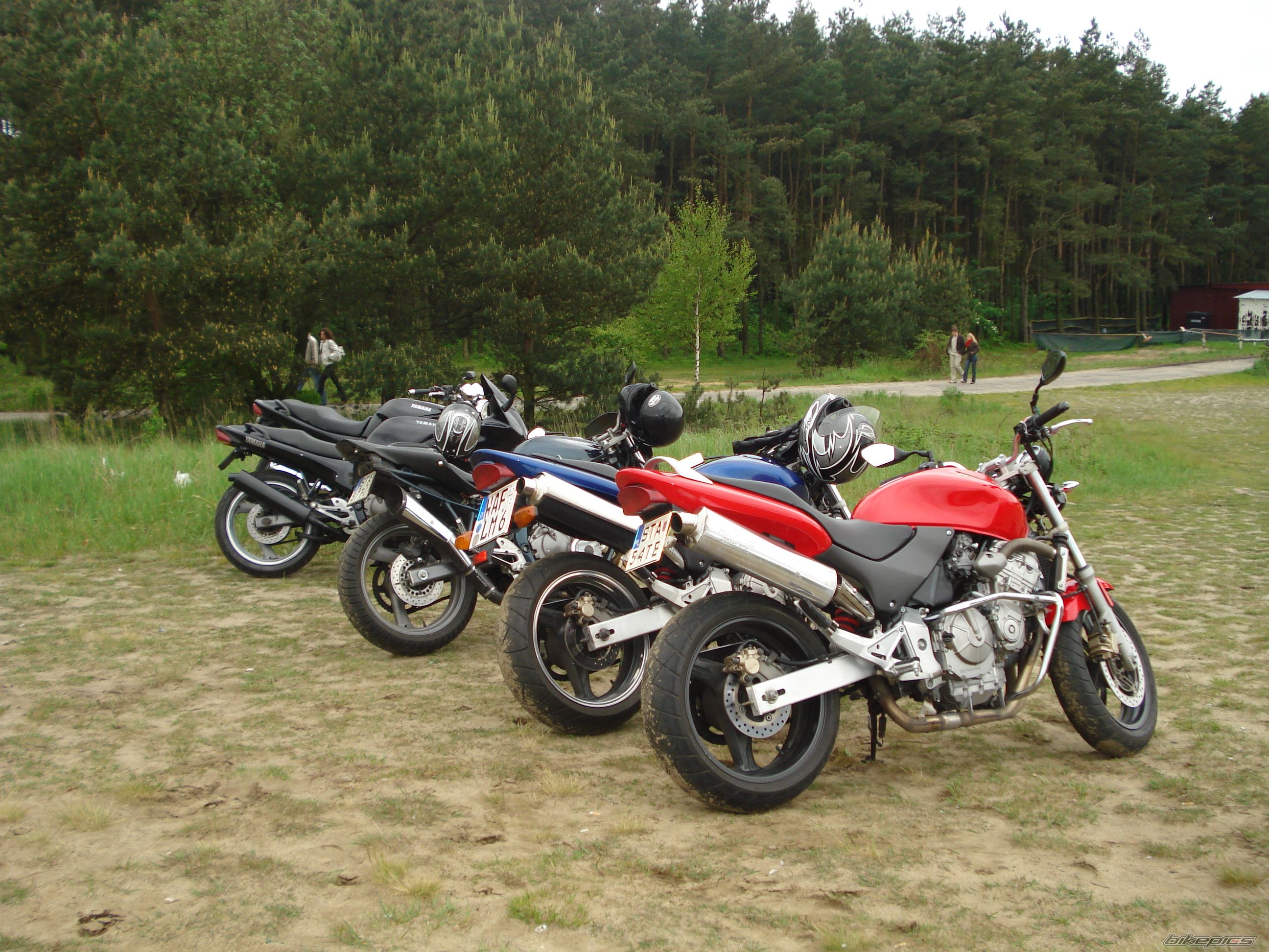 Photo 1297393