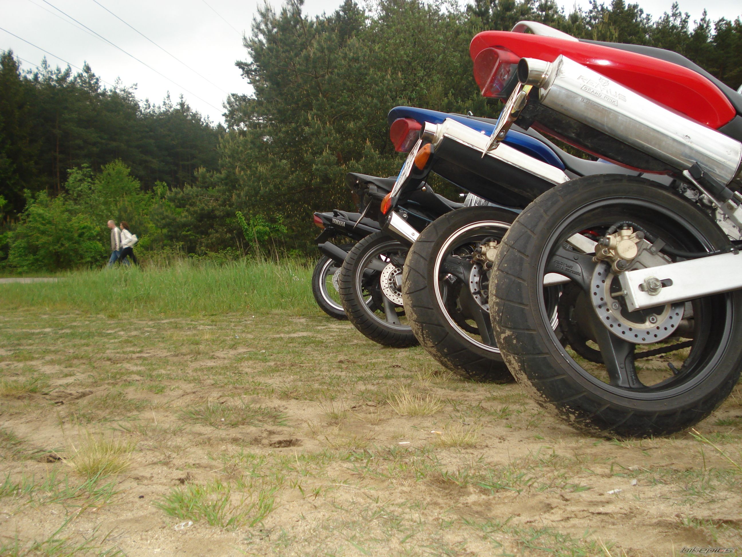 Photo 1297394