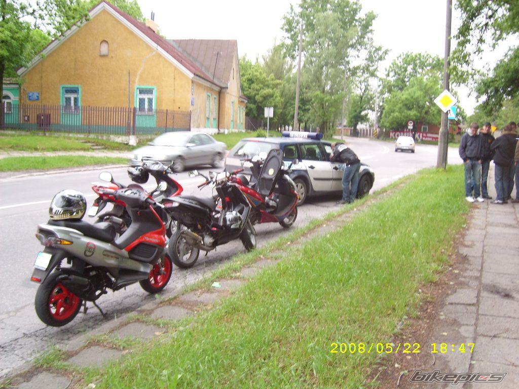 Photo 1297401