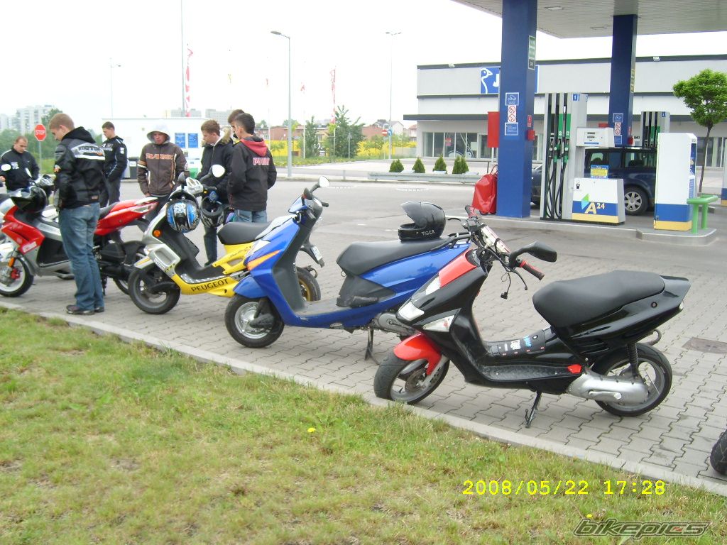 Photo 1297402
