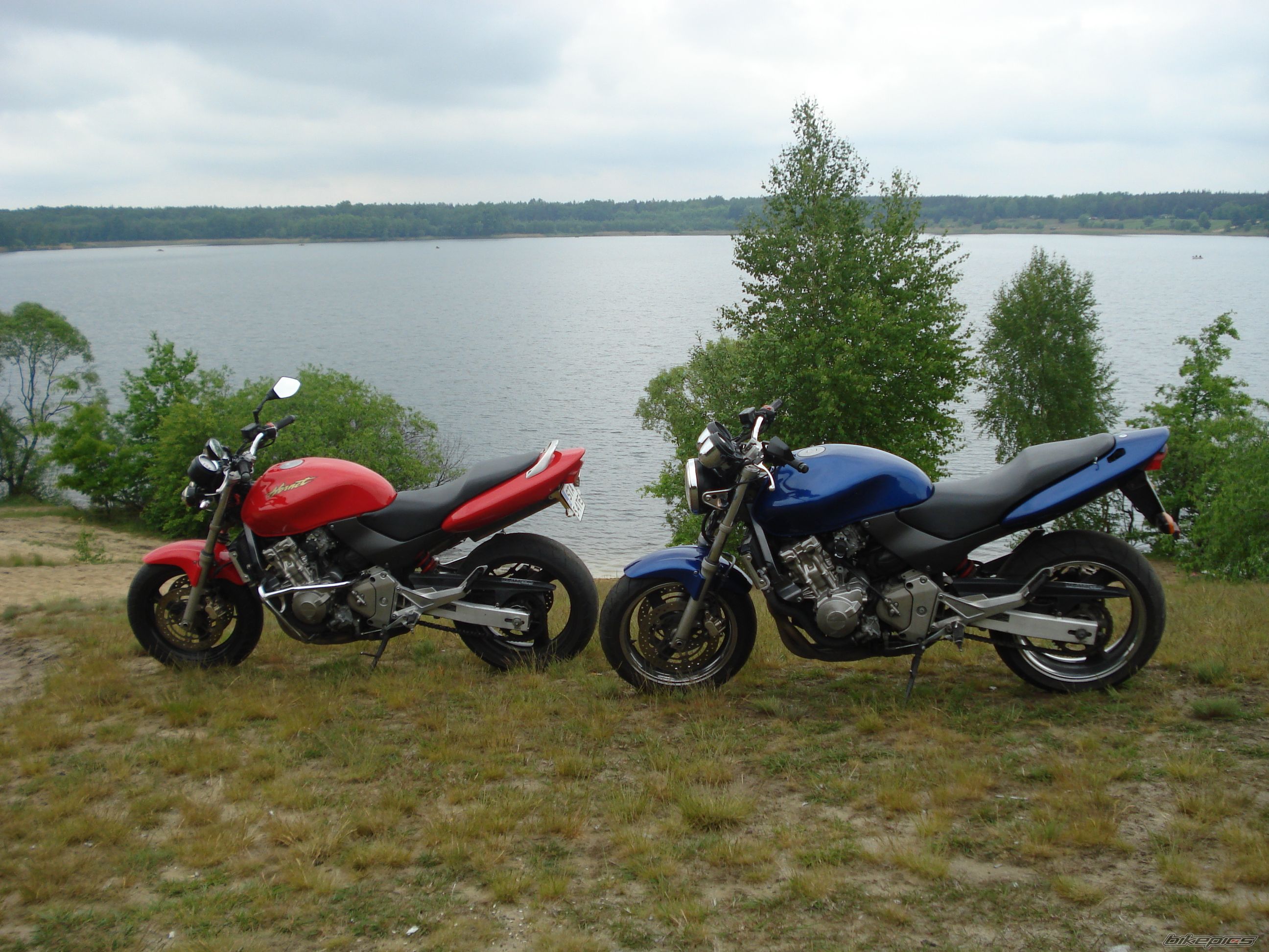 Photo 1297403