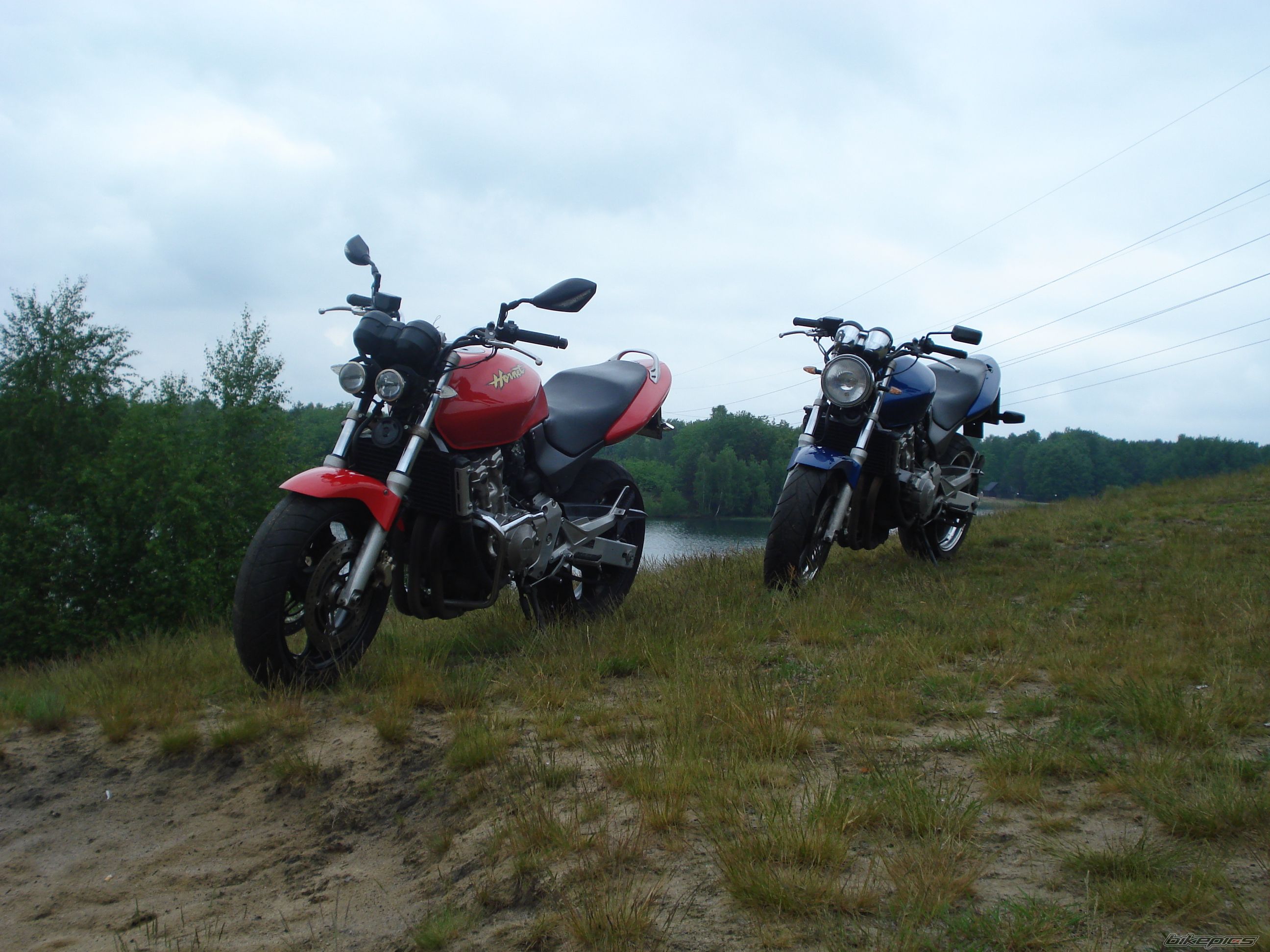 Photo 1297405