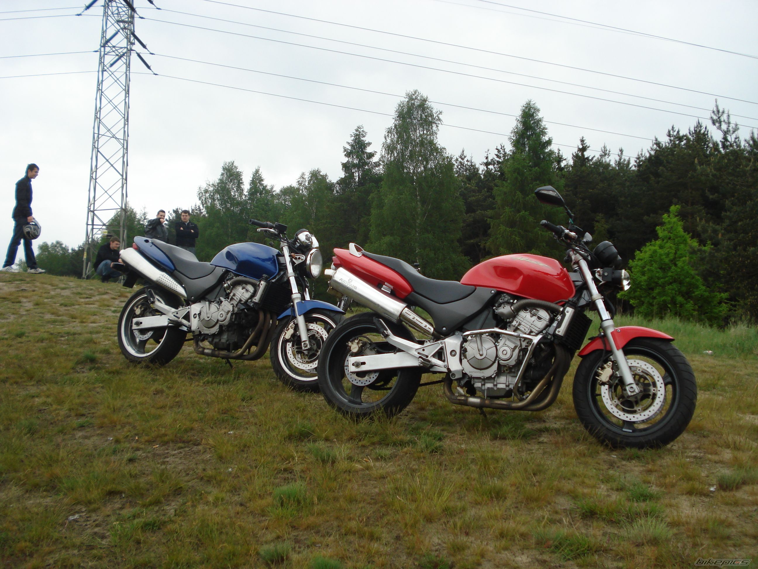 Photo 1297409