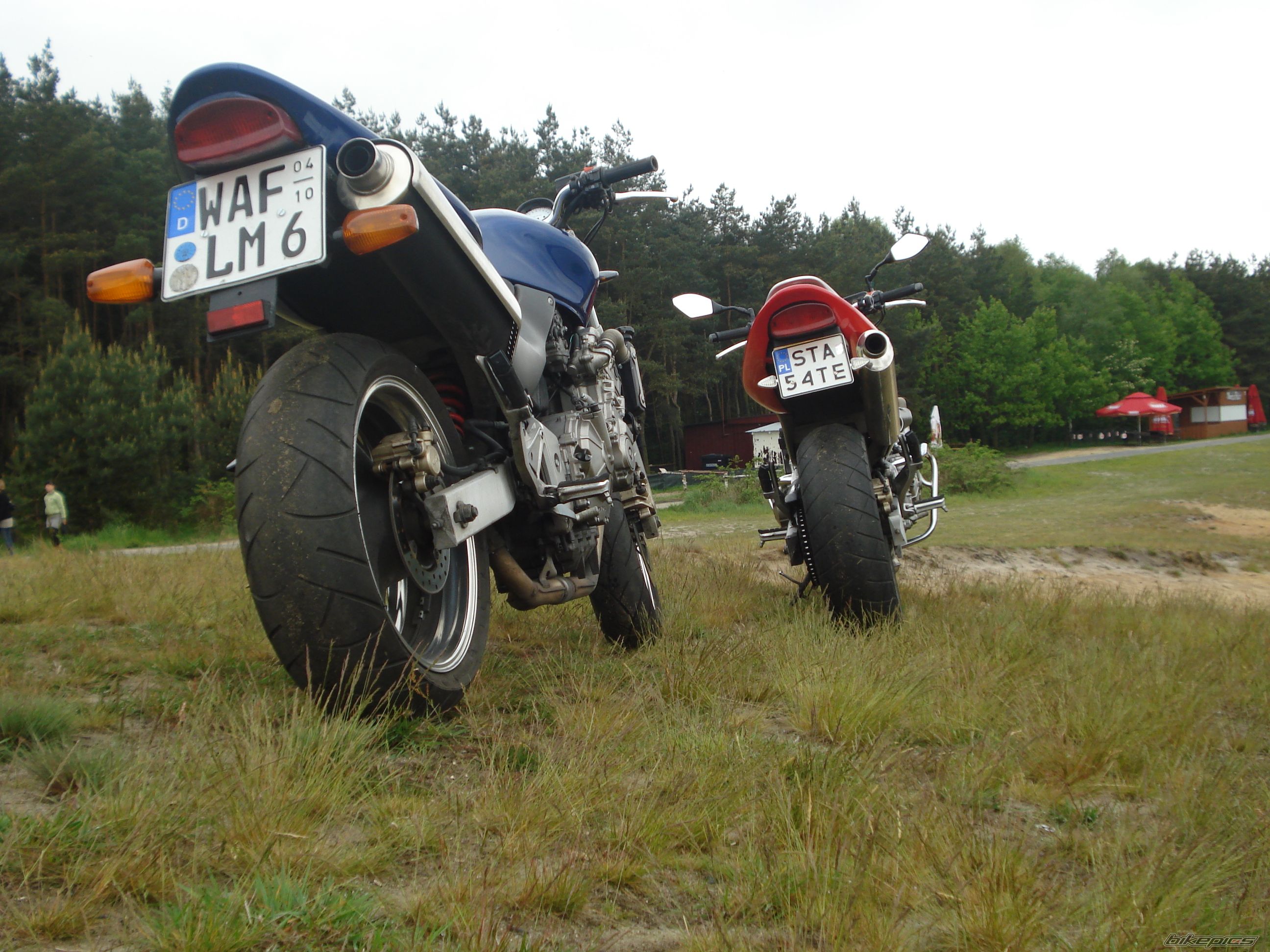 Photo 1297411