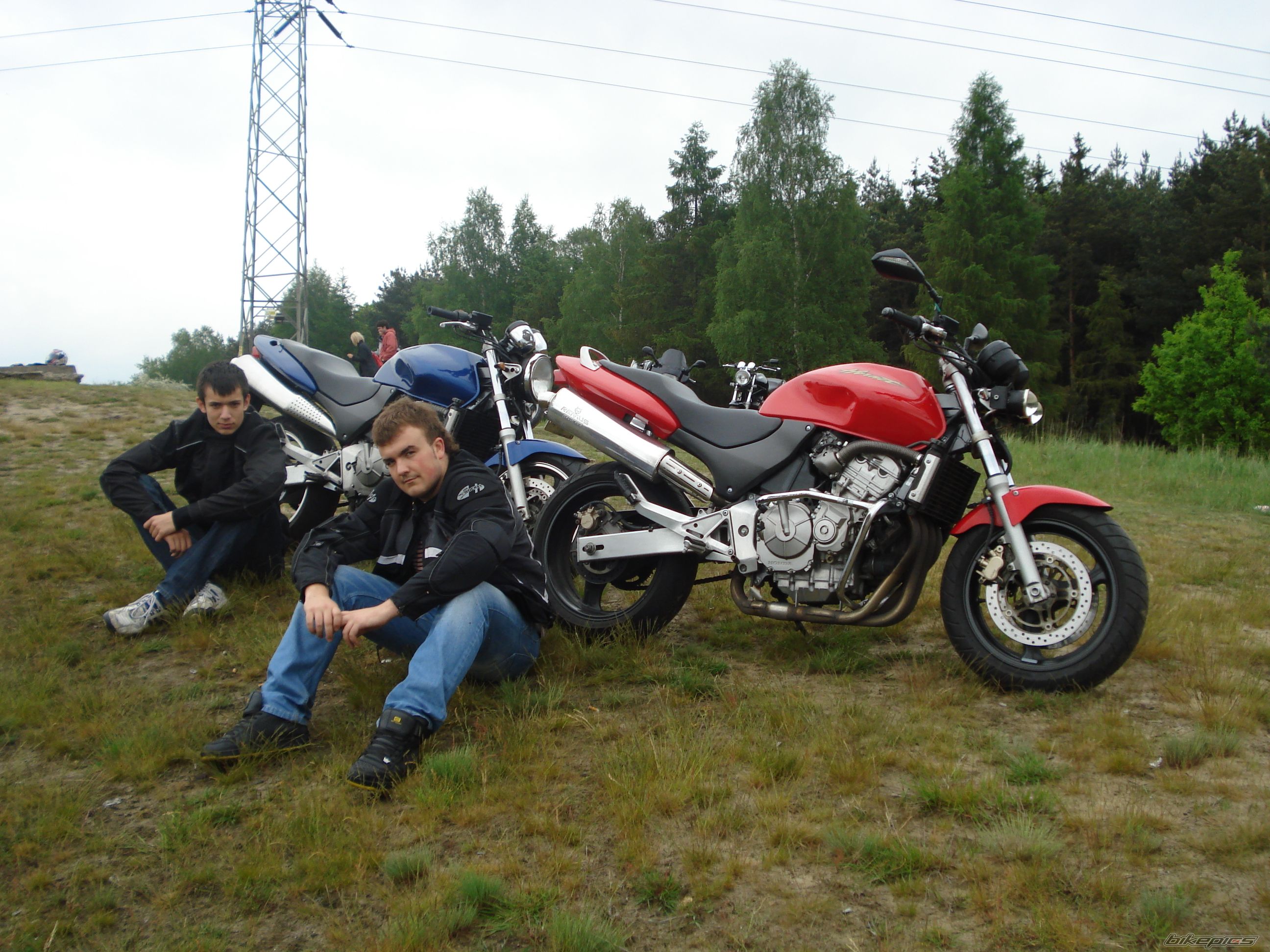 Photo 1297416