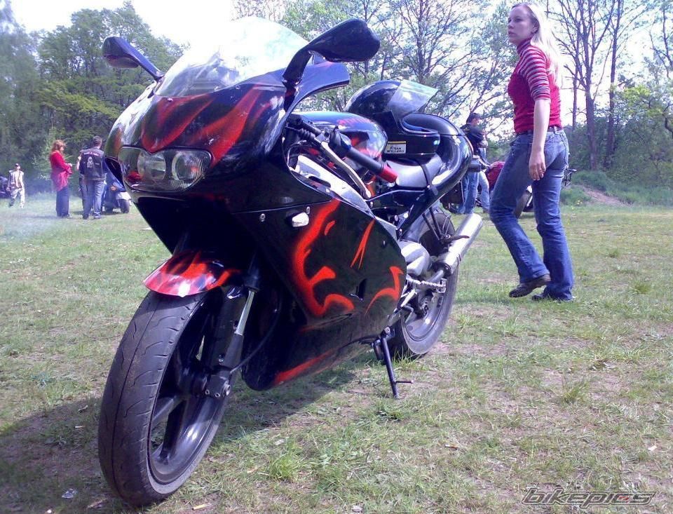 Photo 1297419
