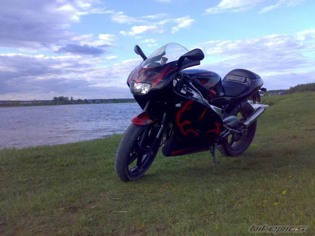 Photo 1297452