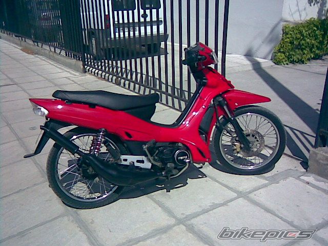 Photo 1297475