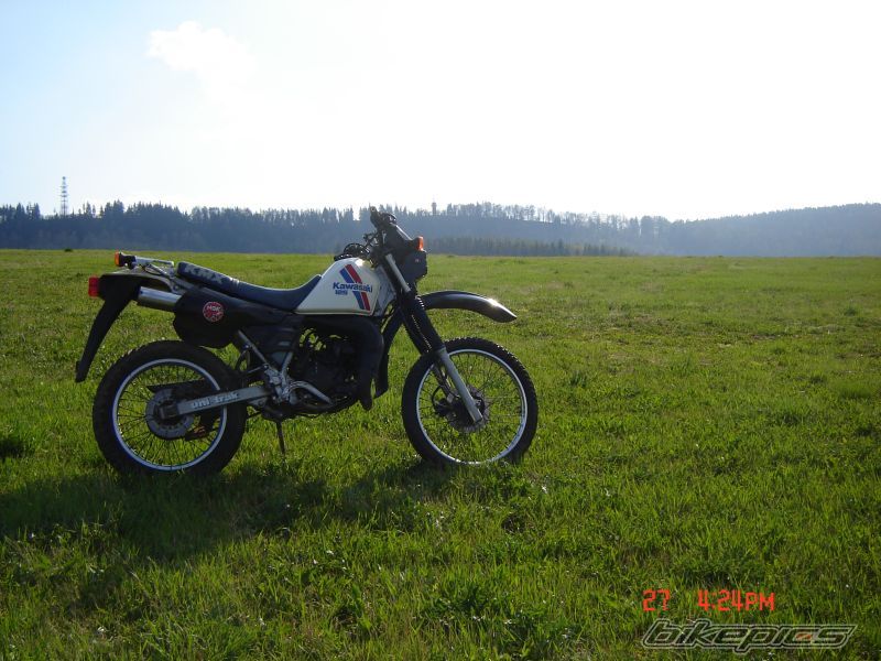 Photo 1297481