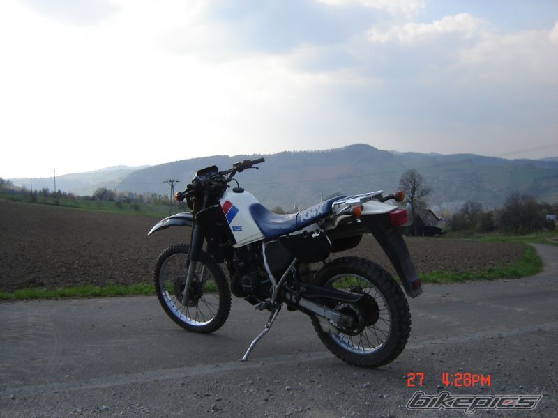 Photo 1297485