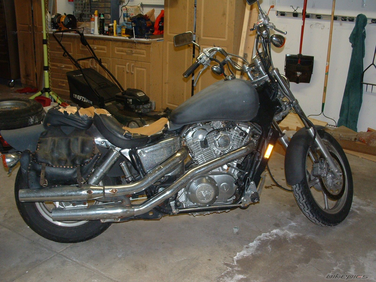 Photo 1297494