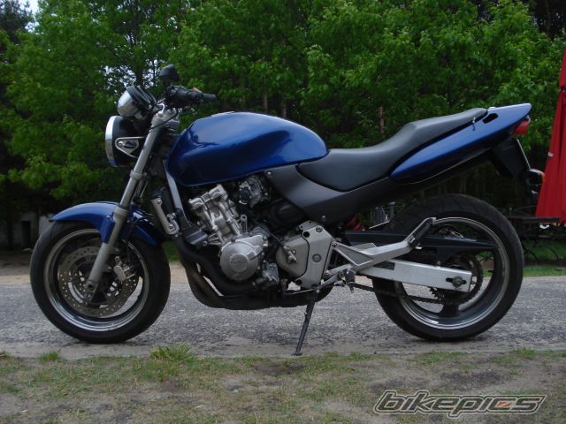 Photo 1297503
