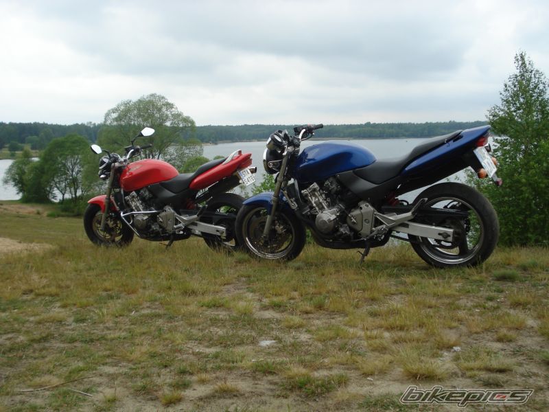Photo 1297529