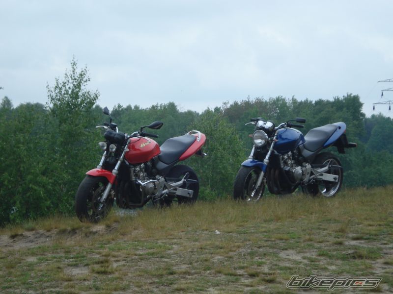 Photo 1297530