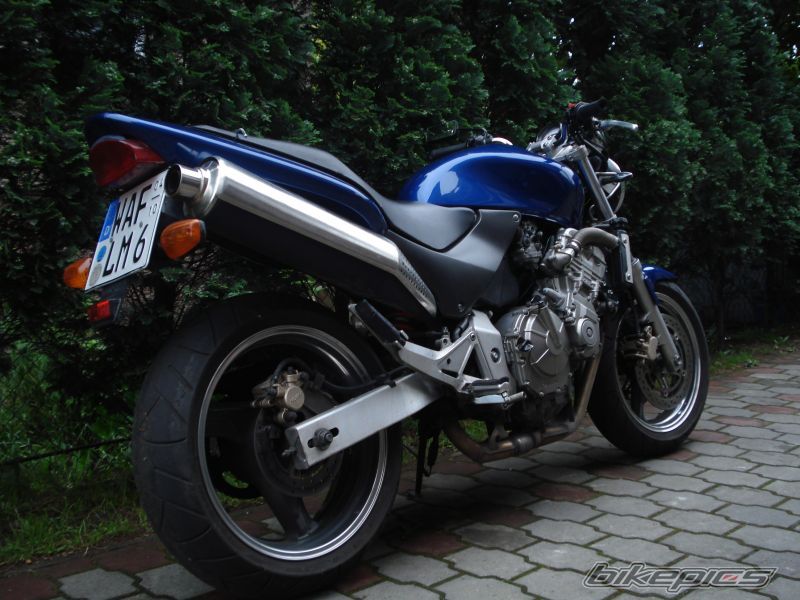 Photo 1297534