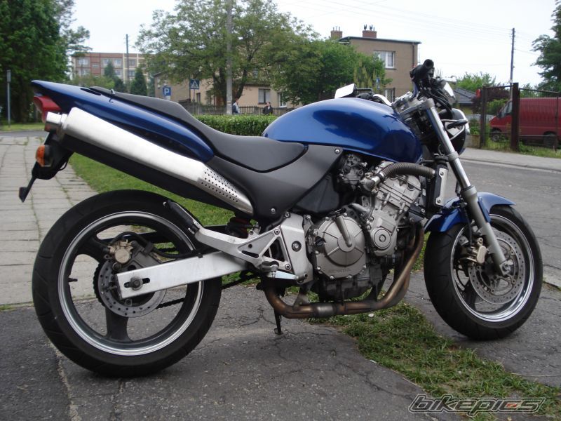 Photo 1297544
