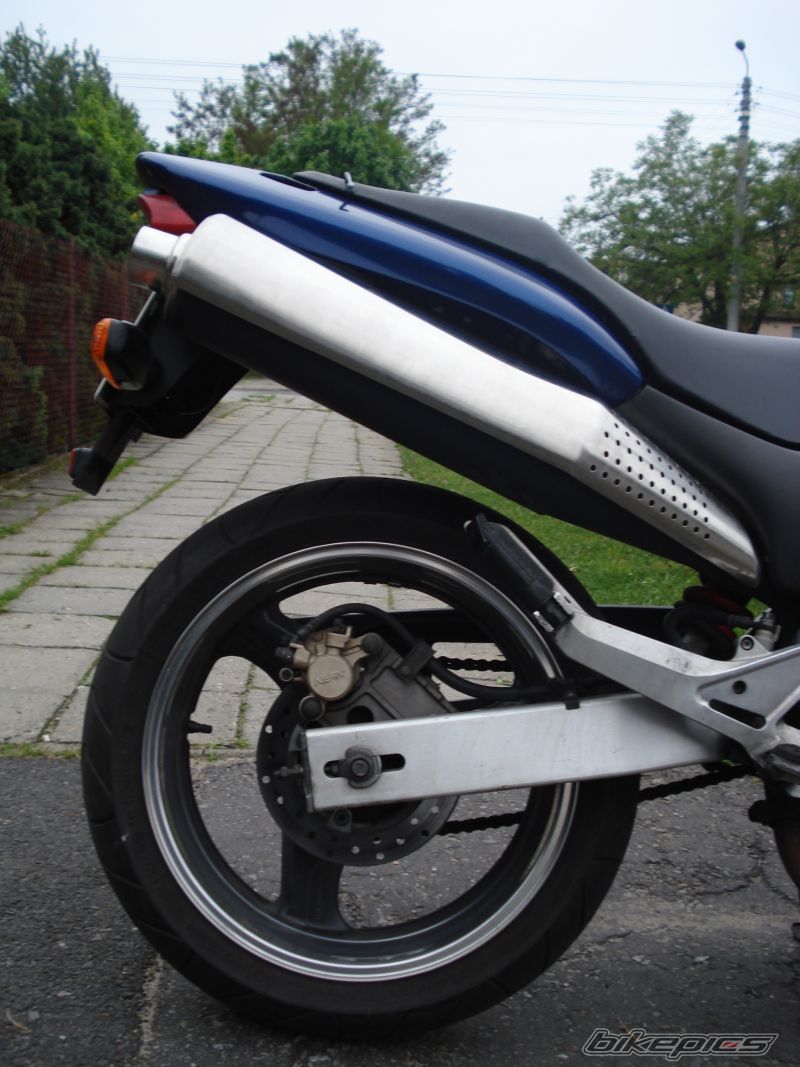 Photo 1297546