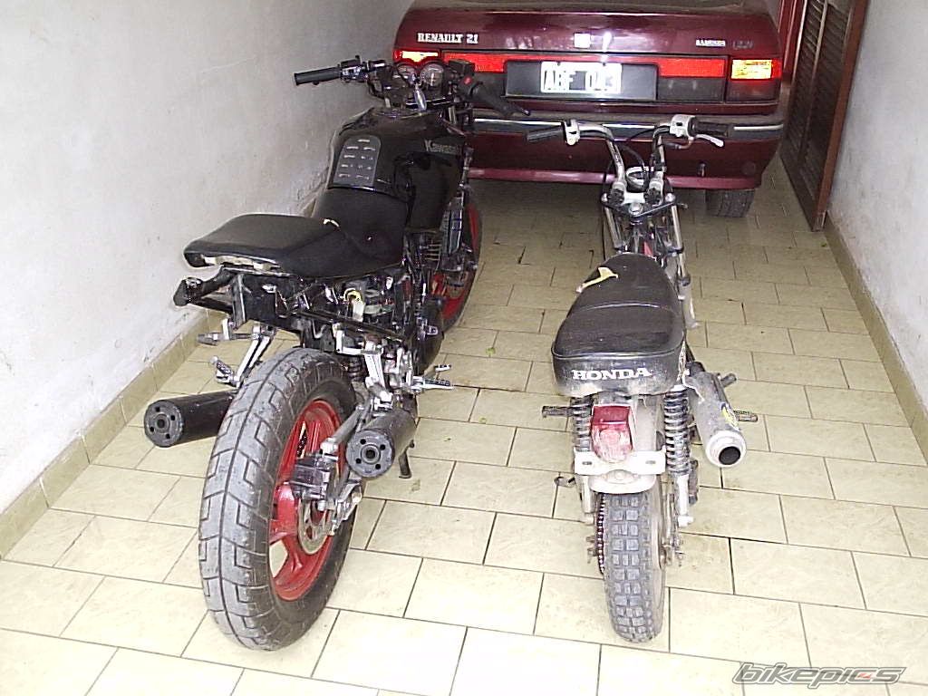 Photo 1297562