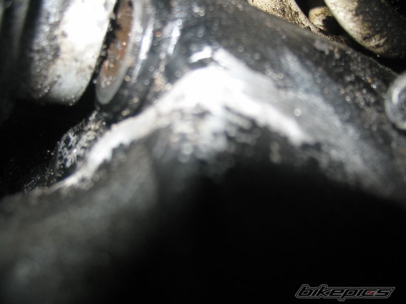 Photo 1297594