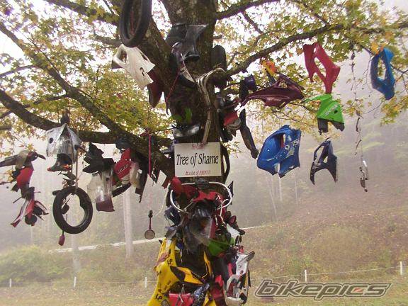 Bike Photo 129762