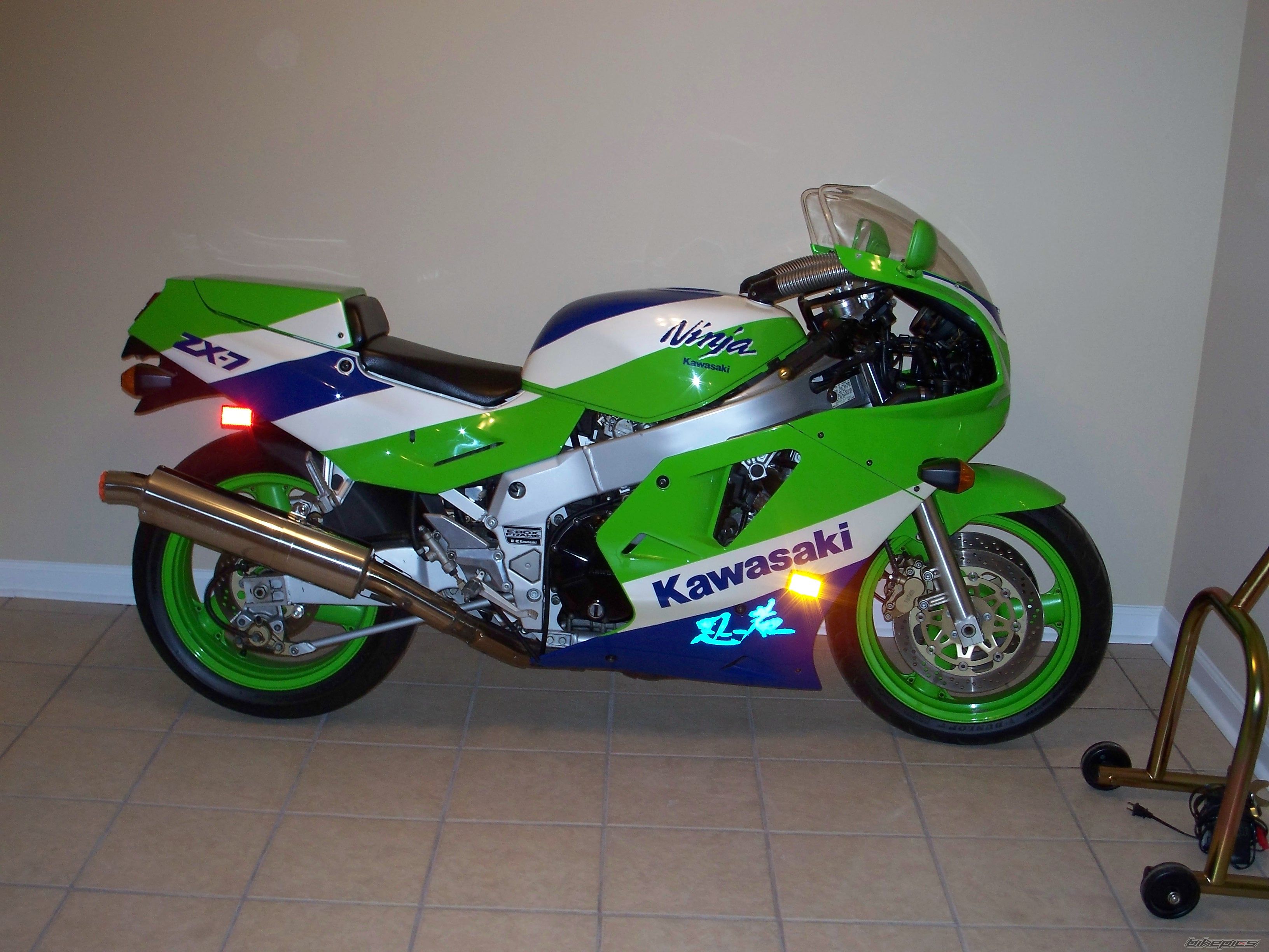 Photo 1297640