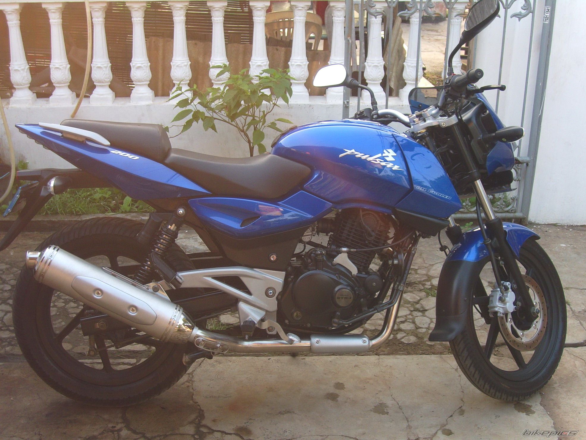 Photo 1297694