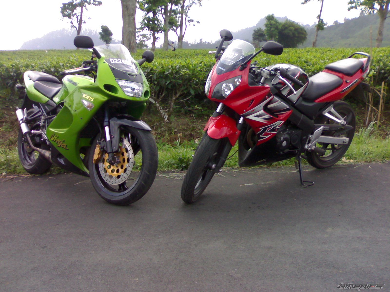 Bike Photo 1297698