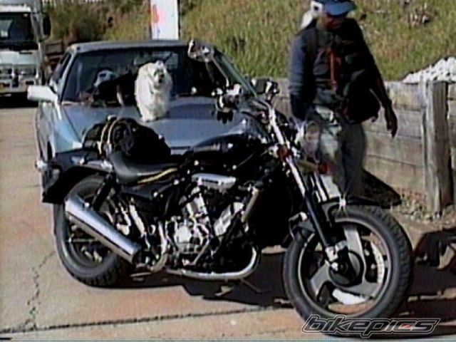 Bike Photo 1297748