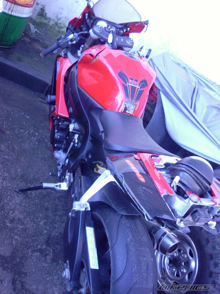 Photo 1297784