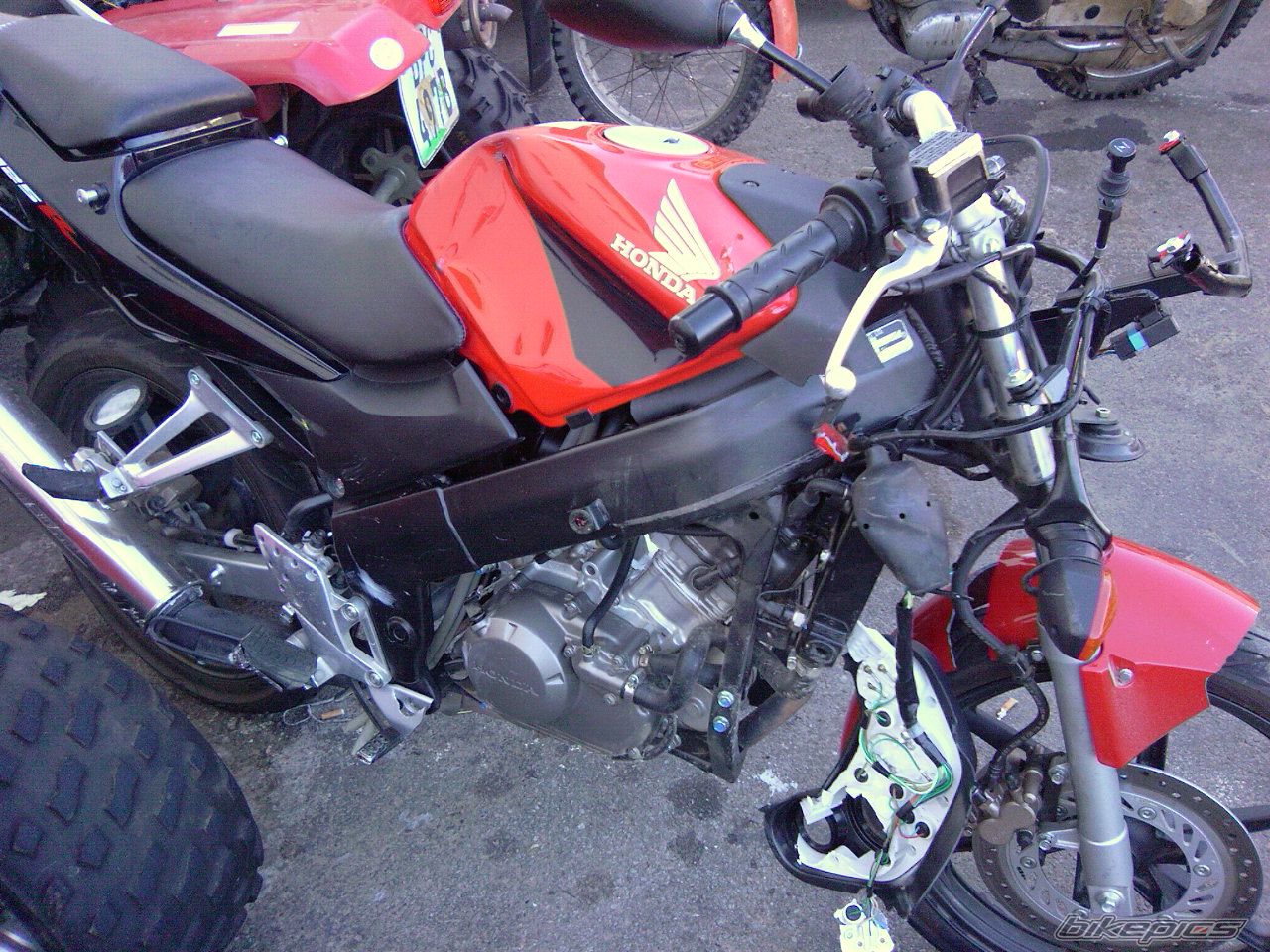 Photo 1297786