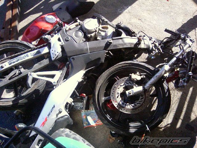 Photo 1297787