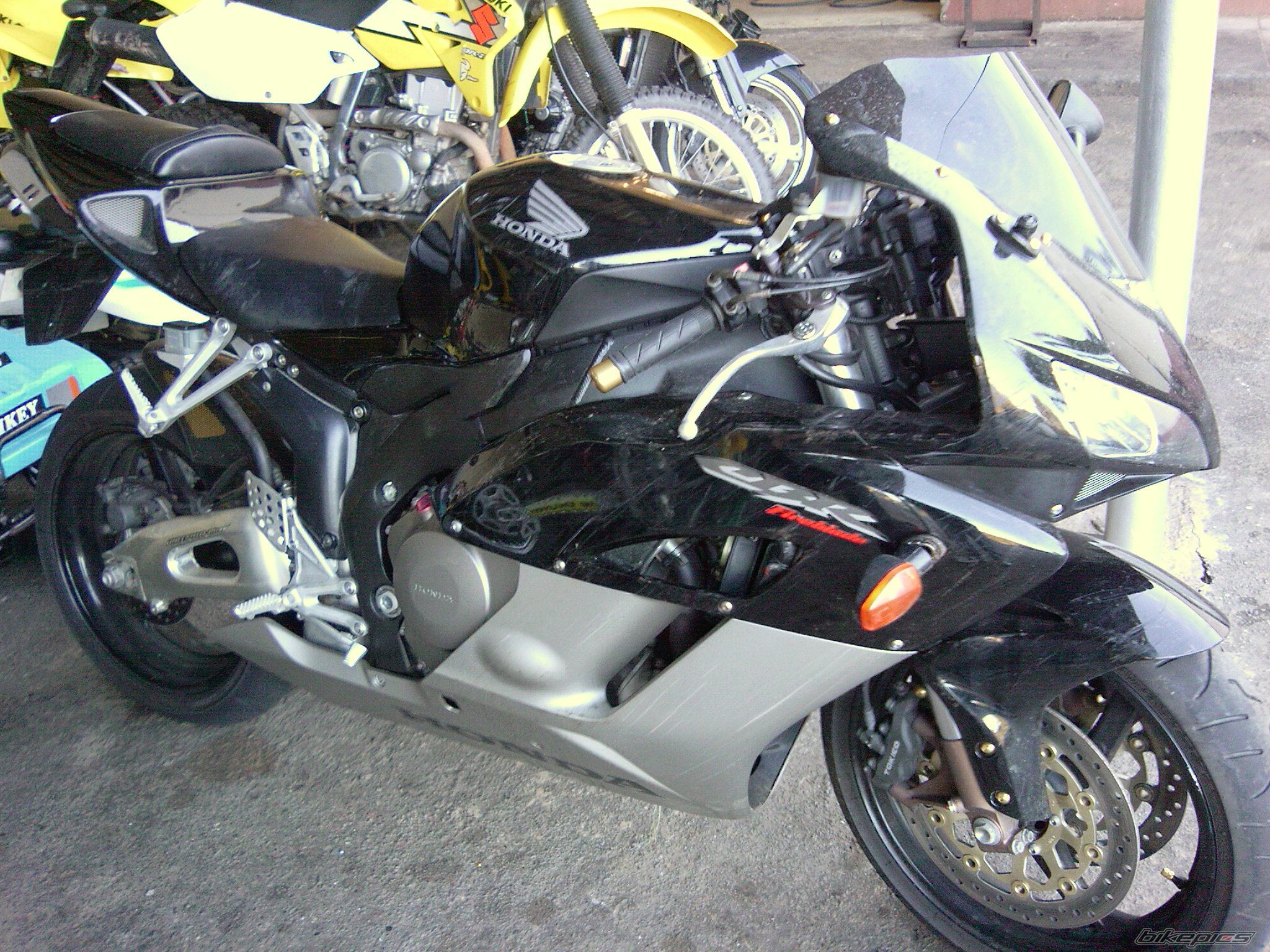 Photo 1297791