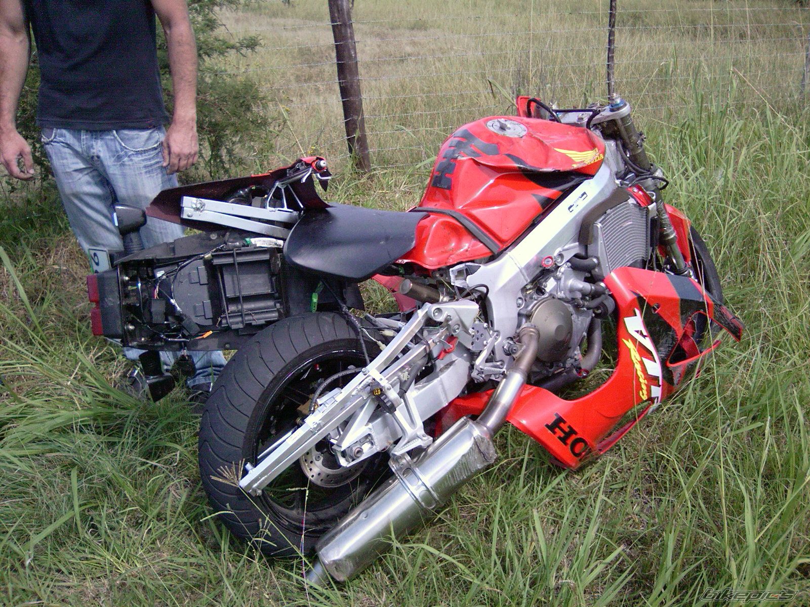 Photo 1297793