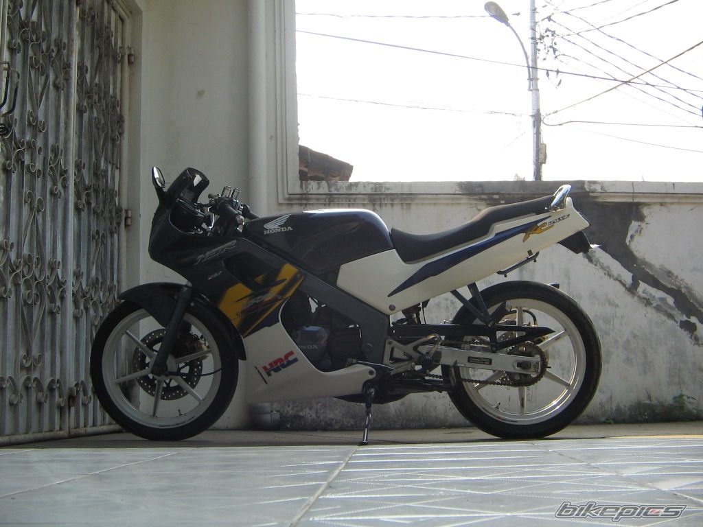 Photo 1297802