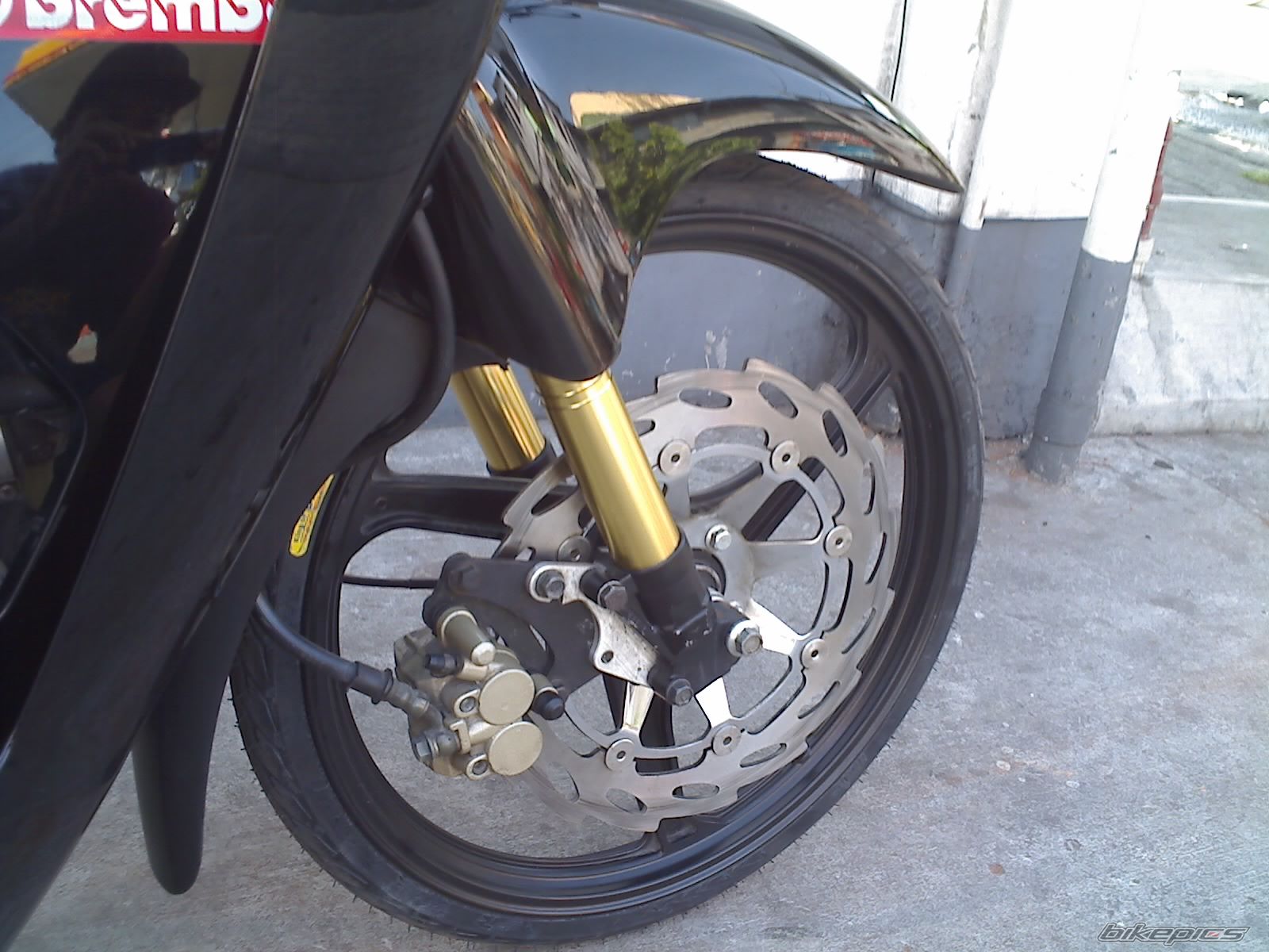 Photo 1297820