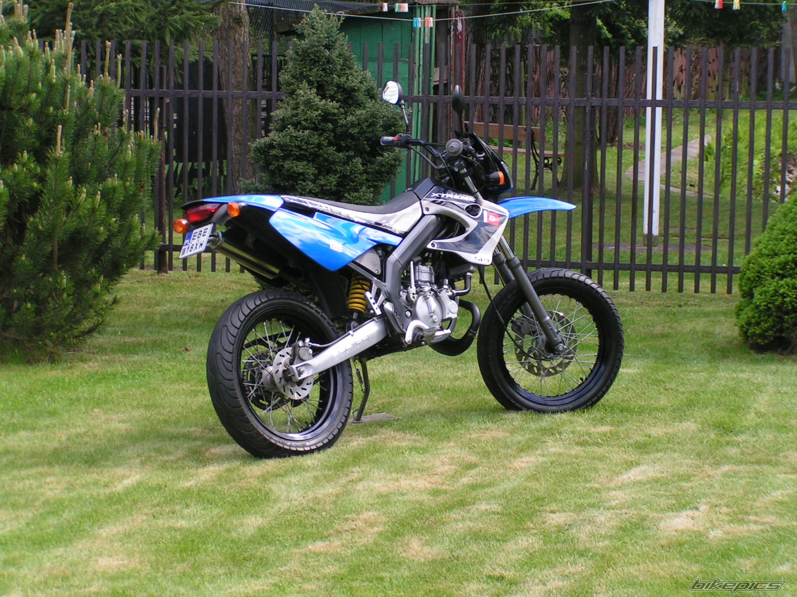 Photo 1297840