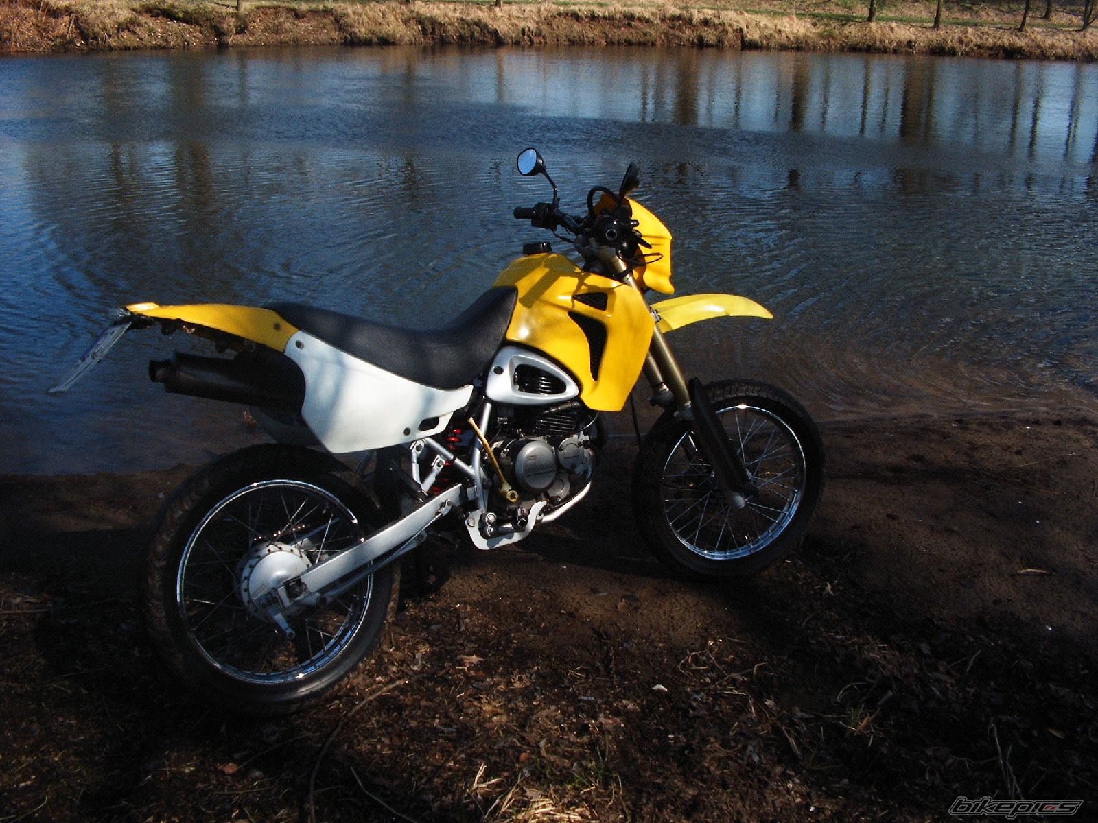 Photo 1297871
