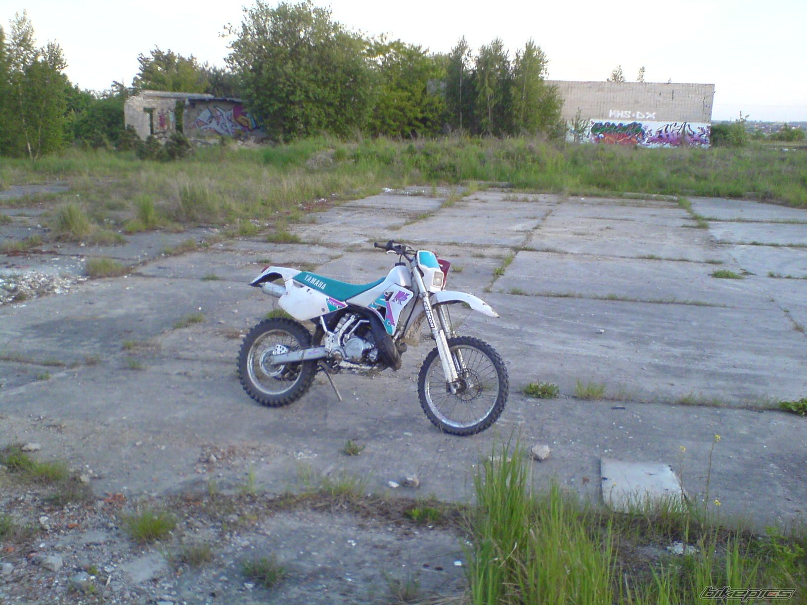 Photo 1297959