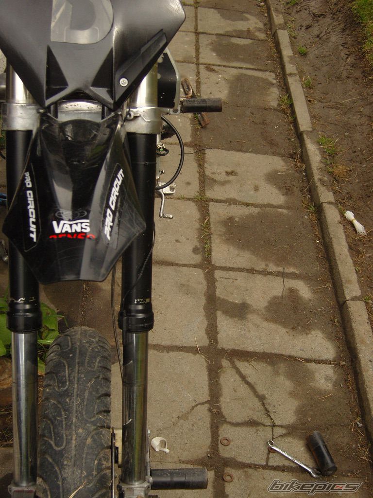 Photo 1297992