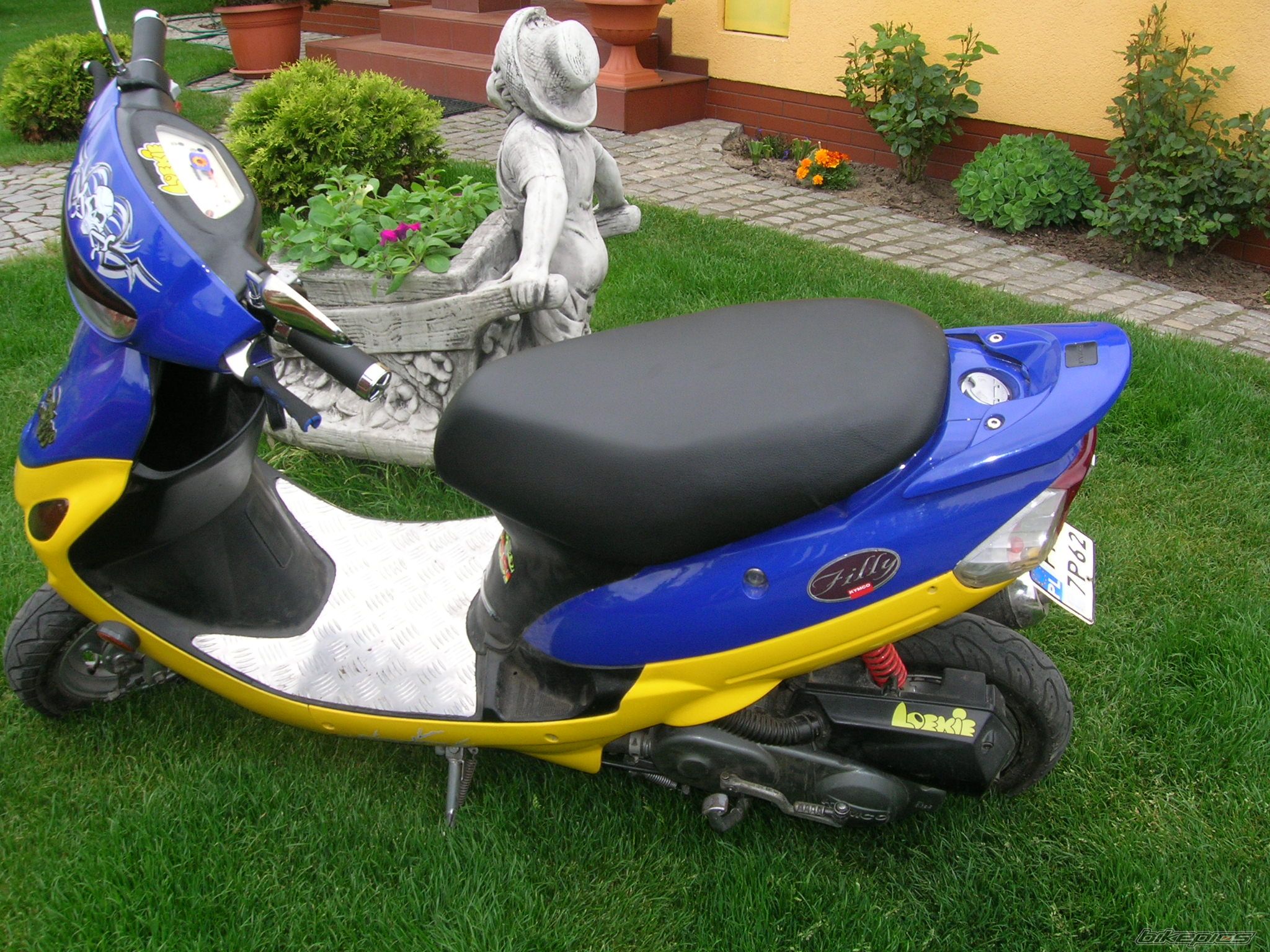 Photo 1298007
