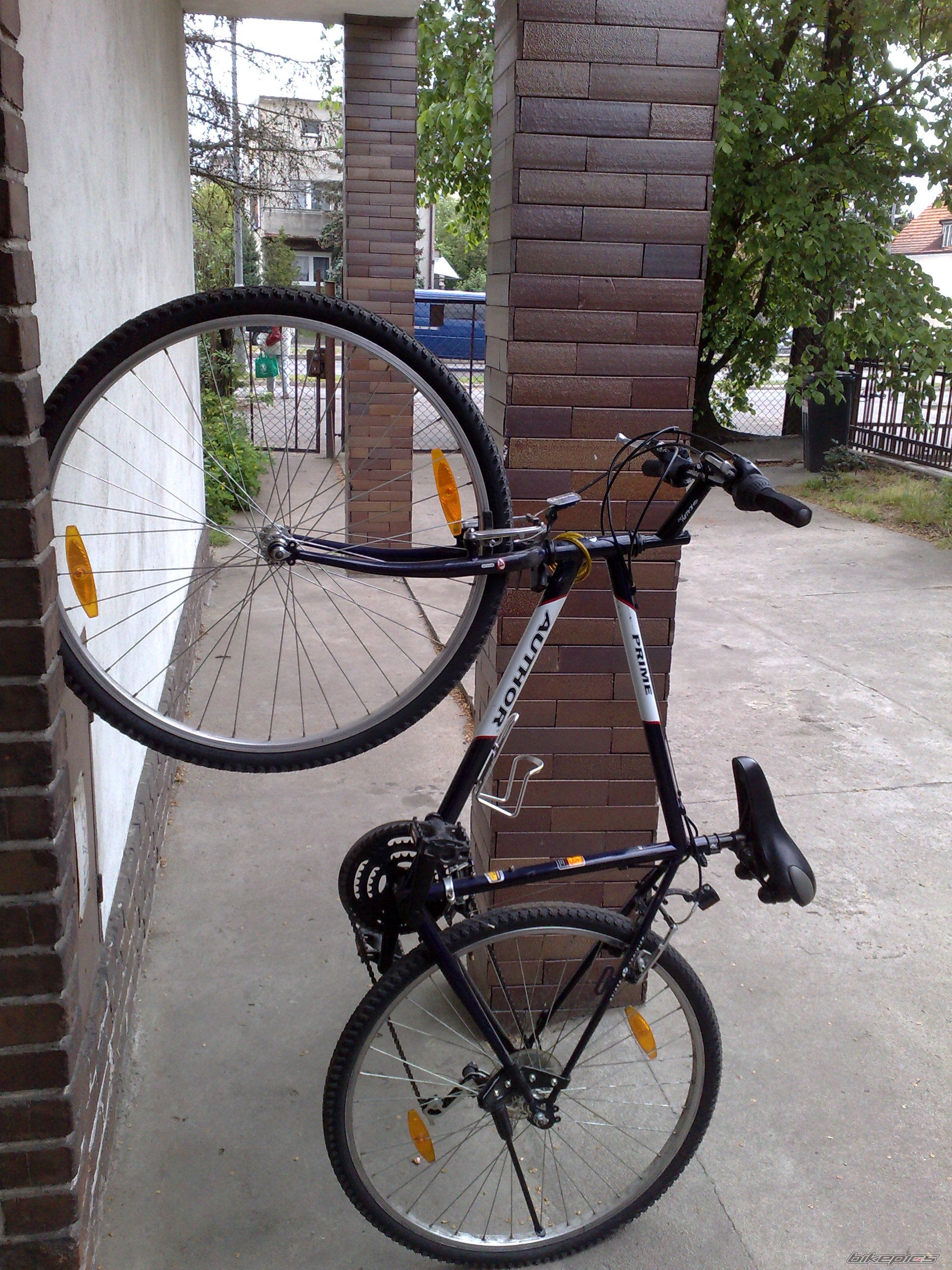 Photo 1298055