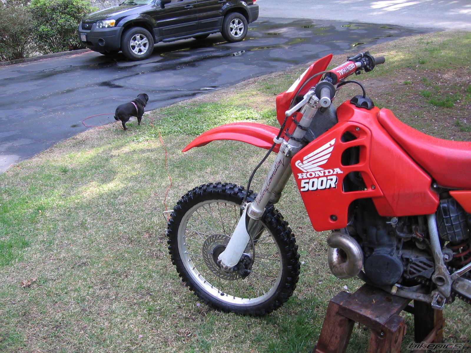 Photo 1298120