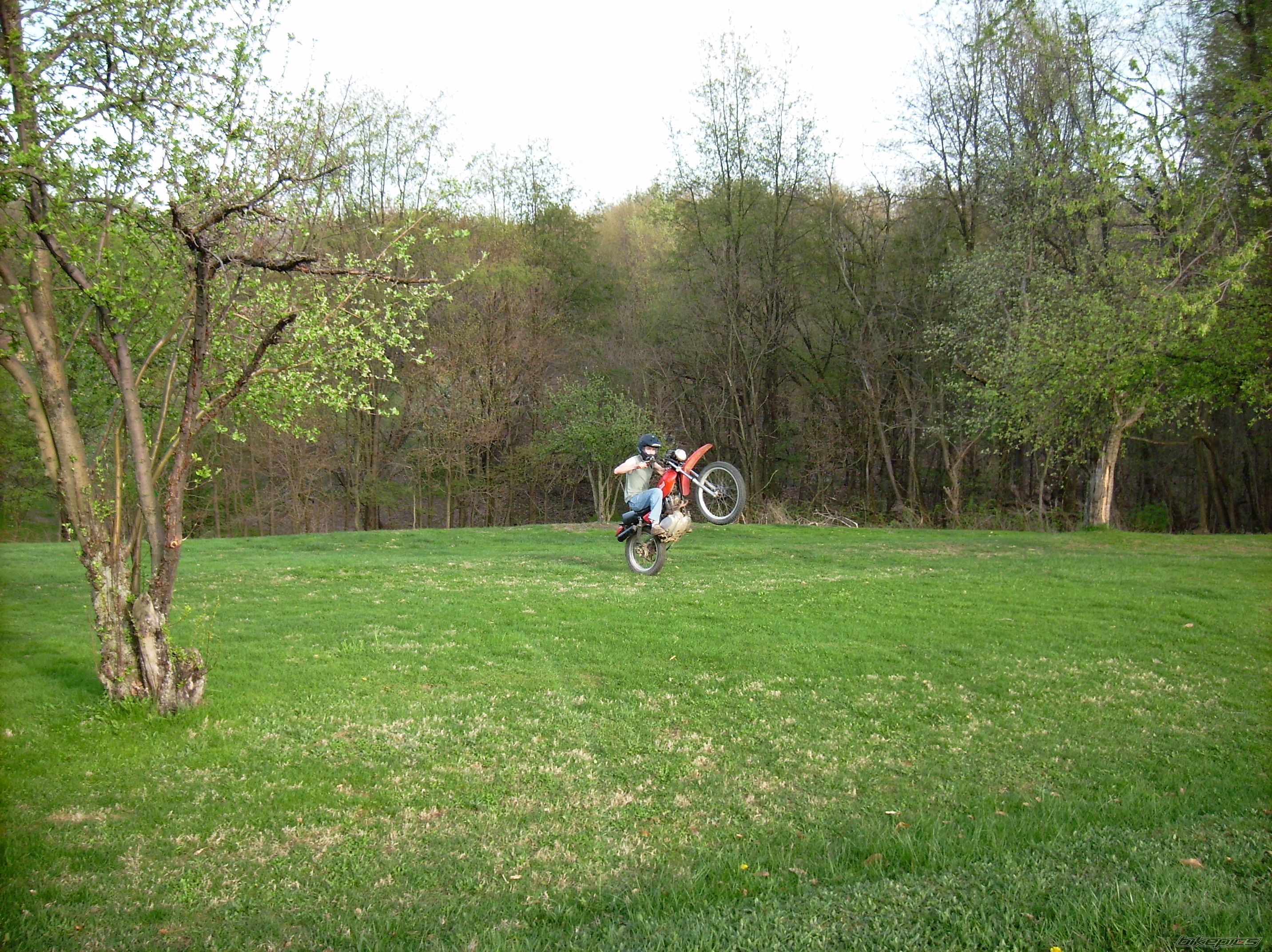 Photo 1298167
