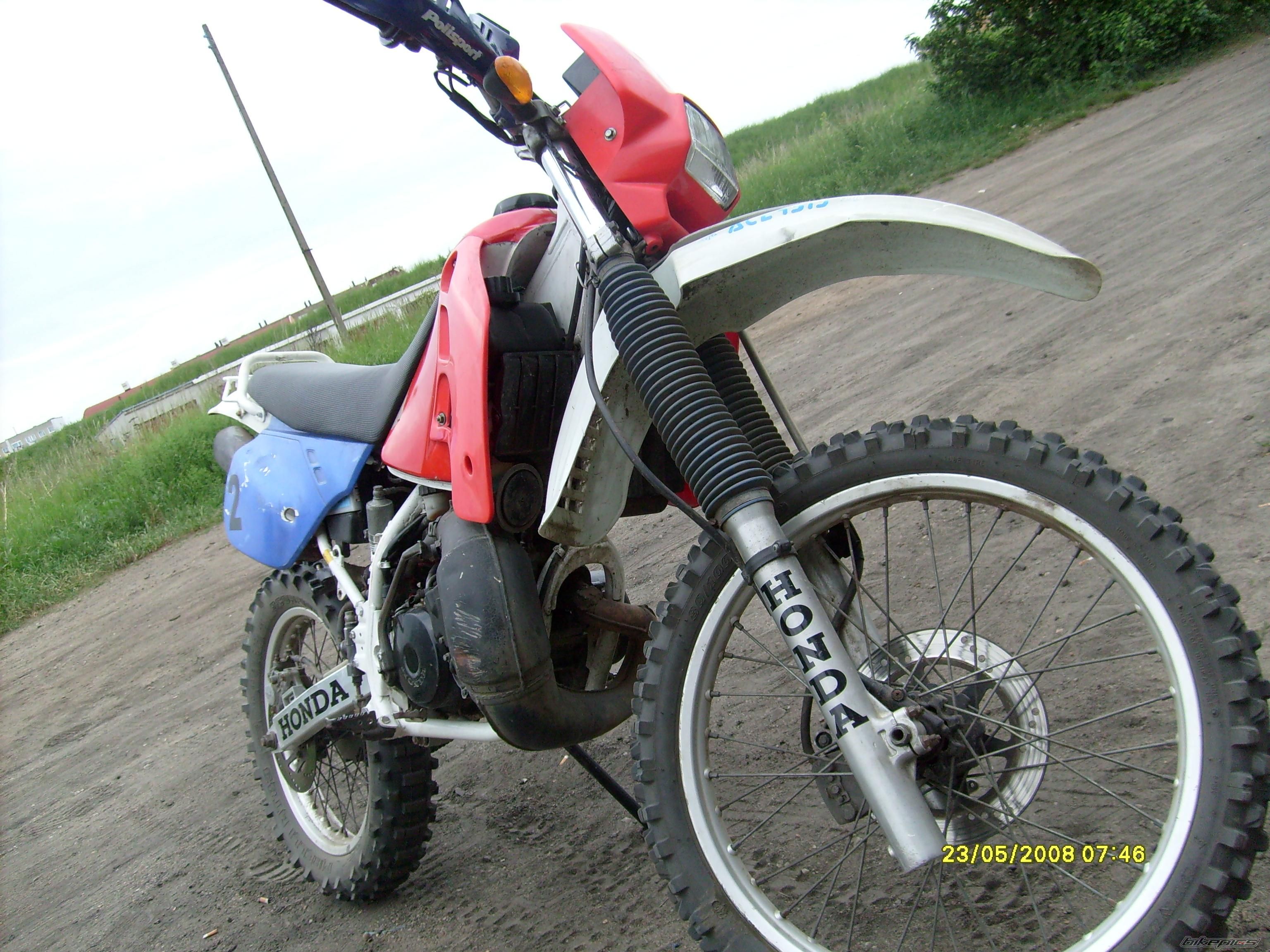 Photo 1298215